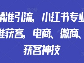小红书矩阵精准引流：电商微商门店获客神技，专业号矩阵轻松涨粉-54创业网