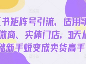 30天从0到卖货高手：小红书矩阵号引流秘籍，电商微商实体店必备-54创业网