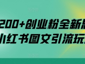 小红书创业粉引流秘籍：日增200+精准粉丝的图文玩法大公开-54创业网