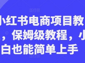 小红书电商项目教程：0基础保姆级教学，手把手教你轻松开店赚钱-54创业网