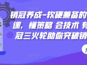 销冠三火轮：懂策略会技术有能力的销售技能课，突破瓶颈成销冠-54创业网