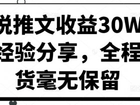 小说推文月入30W秘诀：大佬亲授零保留赚钱干货-54创业网