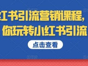 小红书引流营销课程：3天学会小红书精准引流涨粉技巧-54创业网