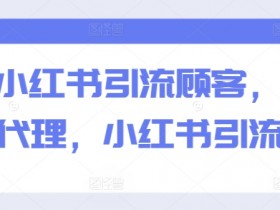 小红书引流秘籍：精准招募代理，轻松吸引顾客的实战技巧-54创业网