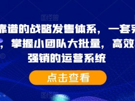 2024战略发售体系：IP高效运营0强销，小团队大批量变现秘籍-54创业网