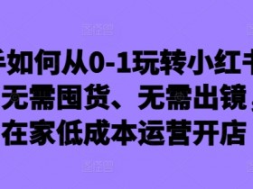 新手开小红书店铺0-1攻略：无囤货不出镜，在家低成本开店赚钱-54创业网