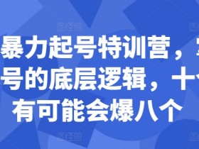小红书起号秘籍：10个帖子爆8个的暴力起号底层逻辑特训营-54创业网