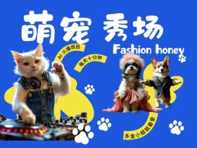 酷飒动物走秀揭秘：时尚喵FASHION汪轻松月入破W，多金小姐姐最爱-54创业网
