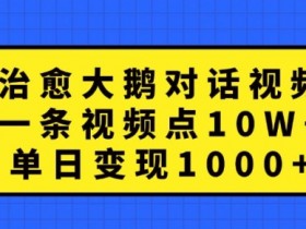 治愈大鹅爆火视频：10W+点赞日赚1k的变现秘籍大公开-54创业网