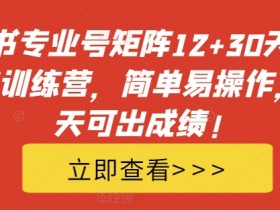 小红书矩阵引流训练营：15天见效，30天陪跑，专业号运营简单易操作-54创业网