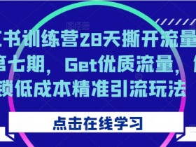 28天小红书训练营：低成本精准引流玩法，Get优质流量撕开流量入口-54创业网