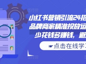 小红书营销引流24招：品牌商家精准投放运营指南，少花钱多赚钱避坑秘籍！-54创业网