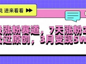 7天涨粉2W+的超级涨粉赛道：每天半小时轻松过原创，三月变现5W+揭秘-54创业网