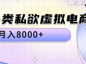 揭秘全品类私域电商：如何轻松月入8000+实战教程-54创业网