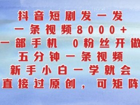 5分钟学会抖音短剧拍摄：0粉丝新手用手机就能轻松赚钱-54创业网