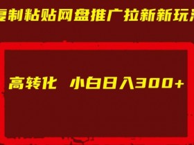 网盘拉新推广秘籍：小白日赚300+高转化玩法大揭秘-54创业网