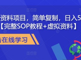 教务资料项目：简单复制日赚500元，完整SOP教程+虚拟资料包-54创业网