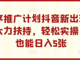 抖音小程序推广计划：官方扶持新玩法，小白轻松日入500+实操揭秘-54创业网