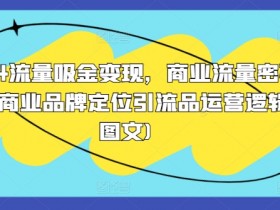 2024商业流量密码：品牌定位+引流品运营逻辑，吸金变现实战图文指南-54创业网
