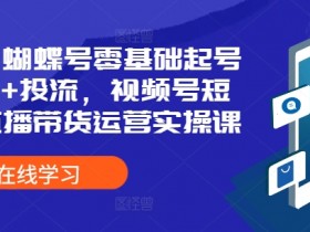 2024蝴蝶号零基础起号教程：短视频直播带货+投流运营实操课-54创业网