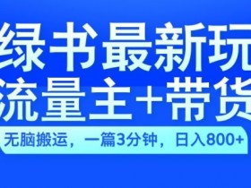2024小绿书赚钱攻略：AI搬运3分钟出图文，流量主+带货日入几百-54创业网