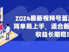 2024视频号蓝海项目：新手小白轻松上手，长期稳定收益-54创业网
