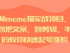 短视频meme猫涨粉教程：选素材+写文案+剪辑全流程实战教学-54创业网