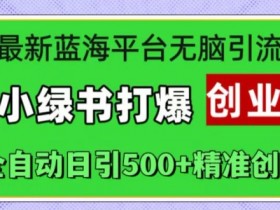 小绿书创业引流秘籍：蓝海平台全自动日加500+精准粉，新手轻松上手-54创业网