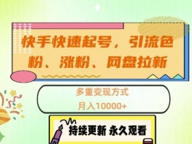 快手快速起号变现秘籍：S粉引流+涨粉技巧+网盘拉新，轻松月入1W+-54创业网