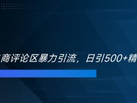 双十一电商如何暴力引流？日引500+精准创业粉实战揭秘-54创业网