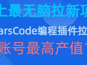 豆包MarsCode编程插件拉新：单账号1w+无脑赚钱，史上最简单副业-54创业网