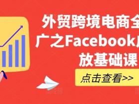 外贸跨境电商推广：Facebook广告投放入门实战技巧-54创业网