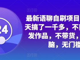 3天赚1000+的语聊自刷项目：无剪辑无作品不带货，简单无脑零门槛-54创业网