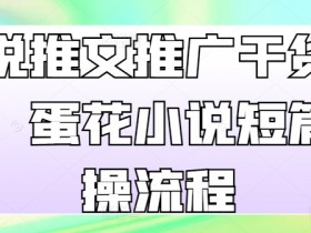 蛋花小说推文推广干货：短篇实操流程分享-54创业网