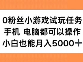 0粉丝小游戏试玩赚钱：手机电脑轻松操作，小白月入5000+攻略揭秘-54创业网