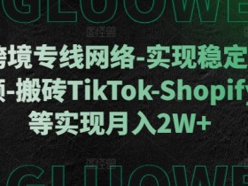 跨境专线网络：稳定直播刷视频+搬砖TikTok/Shopify/FB月入2W+秘籍-54创业网