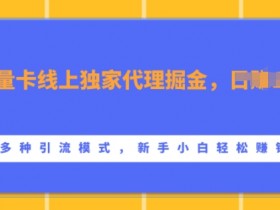 流量卡代理赚钱吗？线上独家代理日赚1k+，新手3步引流技巧大公开-54创业网