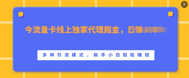流量卡线上独家代理掘金，日入1k+，多种引流模式，新手小白轻松上手【揭秘】