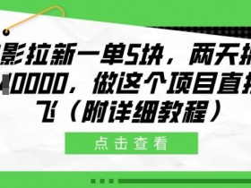 电影拉新赚钱快：两天赚1W的暴利项目教程，5元一单轻松起飞！-54创业网