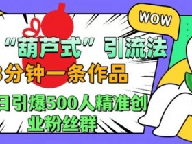 3分钟1条！抖音葫芦式引流法揭秘：单日爆粉500精准创业粉-54创业网