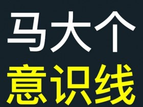 马大个意识线课程：揭秘能力线与意识线，改变人生的关键认知-54创业网