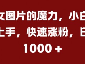 美女图片涨粉秘籍：小白日入几张的吸粉技巧大揭秘-54创业网