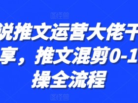 小说推文运营：0-1混剪实操全流程，大佬手把手教你爆款技巧-54创业网
