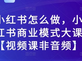 小红书怎么做：小红书商业模式大课视频课教你赚钱秘籍-54创业网