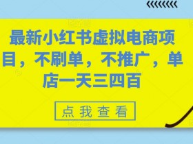 小红书虚拟电商项目：单店日赚三四百，不刷单不推广轻松上手-54创业网