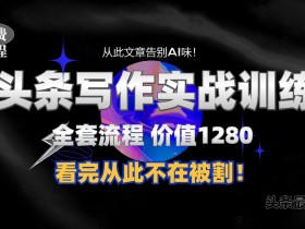 11月头条1280付费课程：手把手教你日入300+写作技巧，告别AI味文章【附赠独家指令】-54创业网