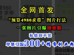 预算4980创业粉引流秘籍：1张图引爆私信300+精准粉-54创业网