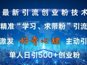 学习求带粉引流技术：日引500+创业粉无封号，精准引流揭秘-54创业网