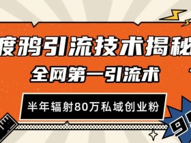 揭秘渡鸦引流技术：半年80万私域创业粉的全网第一引流术-54创业网