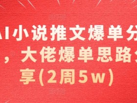 AI小说推文2周赚5万：爆单技巧与大佬实操经验全分享-54创业网